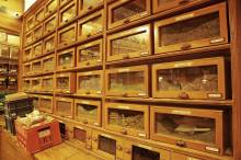 père blaize marseille 13001